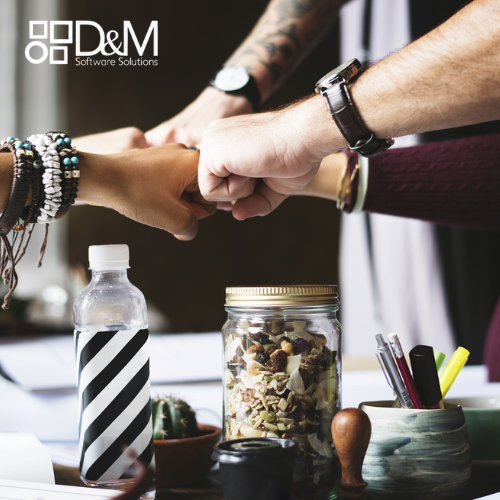 Innovación D&M Software